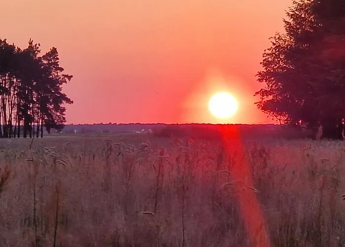 Starkowo Pod Lasem בית נופש *