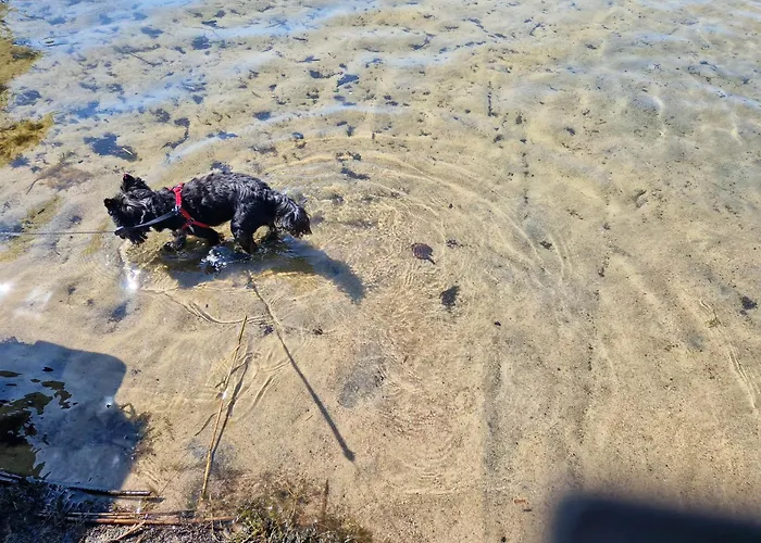 Starkowo Pod Lasem בית נופש Starkowo (Leszno)