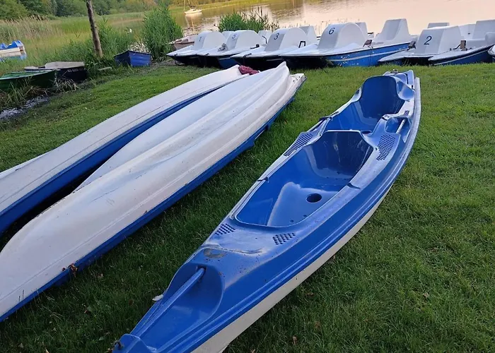 Starkowo Pod Lasem Starkowo (Leszno)