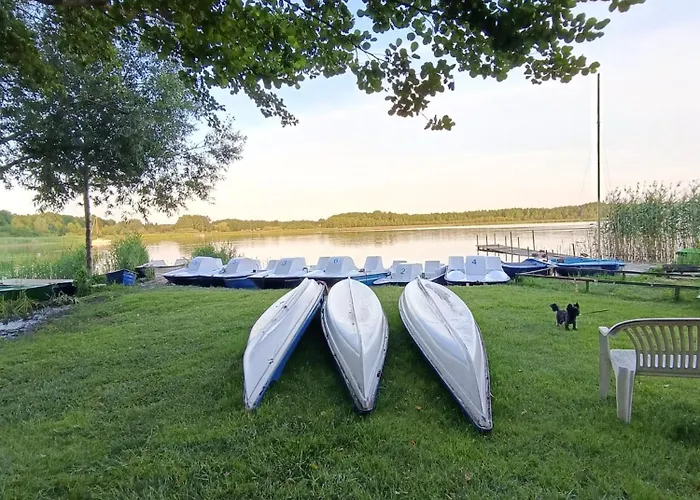 Starkowo Pod Lasem בית נופש Starkowo (Leszno)